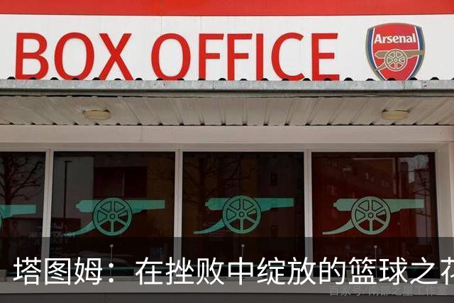塔图姆：在挫败中绽放的篮球之花