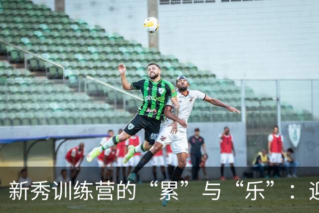 新秀训练营的“累”与“乐”：迎接挑战，砥砺前行