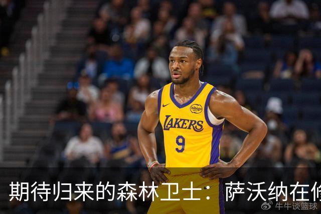 期待归来的森林卫士：萨沃纳在修炼中等候